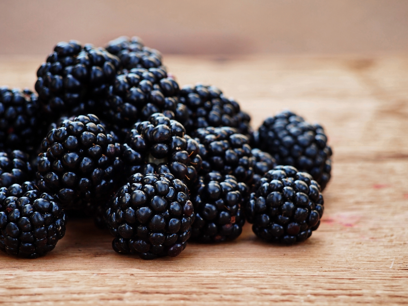 Blackberries Brecknock Orchard LLC, Mohnton Lancaster County PA