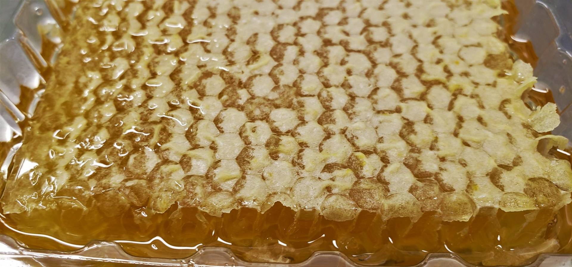 Local Ohio Raw Honey Comb