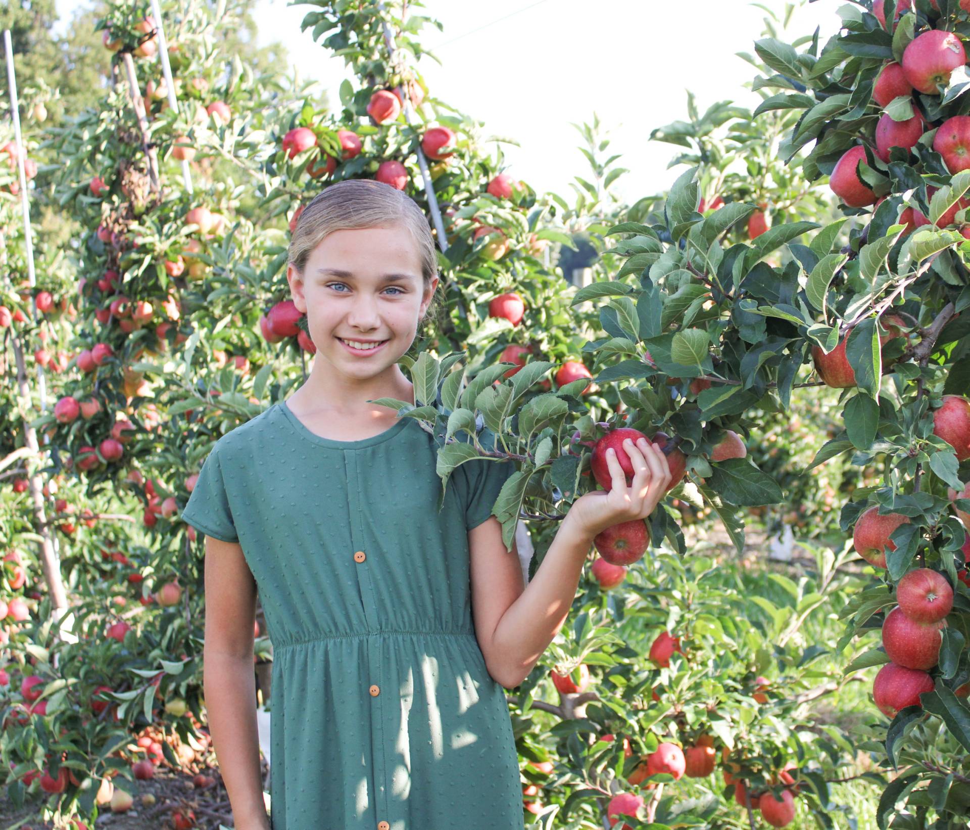 Fruit and Vegetable Picking | Pick Your Own Farm in Eastern Pennsylvania